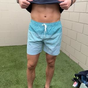 Chubbies swim trunks
